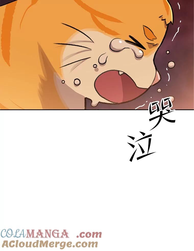 《彩虹桥守望者》52.伤猫者（2） 第34页