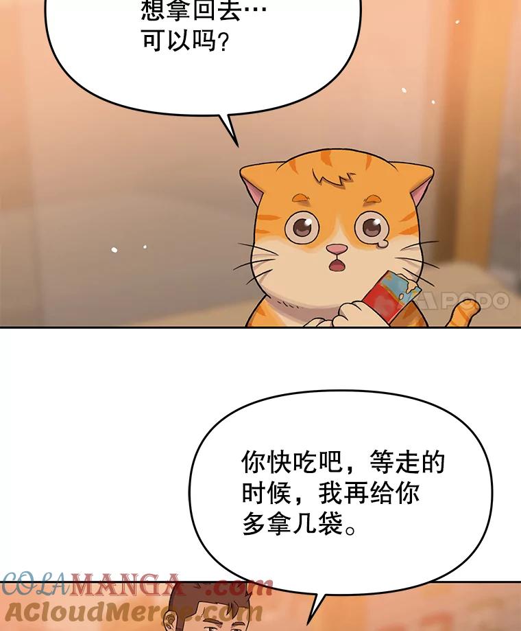 《彩虹桥守望者》52.伤猫者（2） 第58页