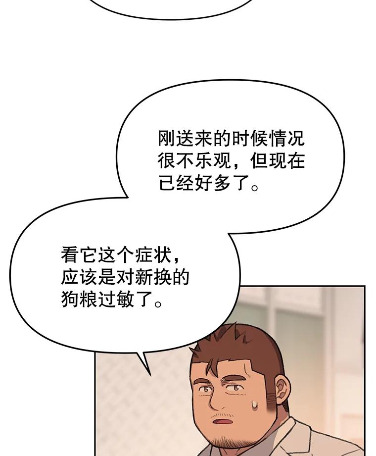 《彩虹桥守望者》52.伤猫者（2） 第17页