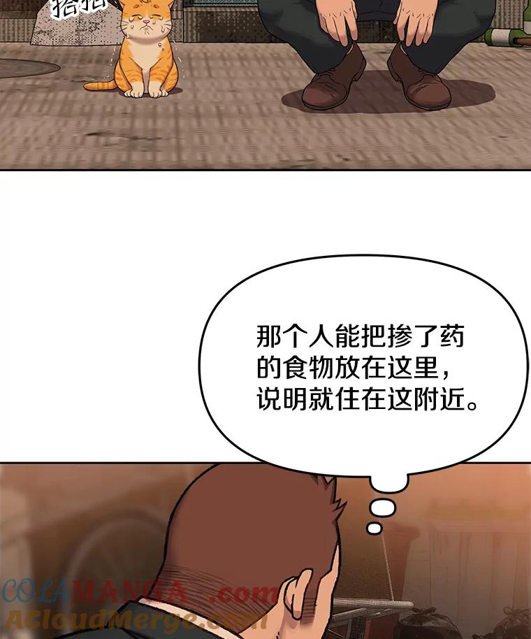 《彩虹桥守望者》52.伤猫者（2） 第43页