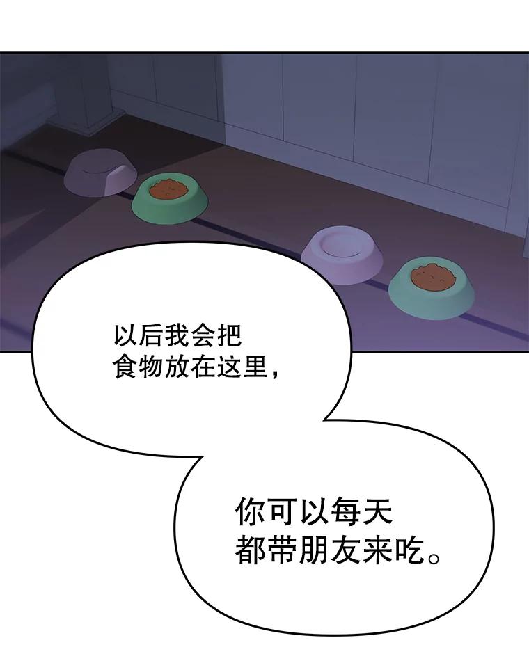 《彩虹桥守望者》52.伤猫者（2） 第63页