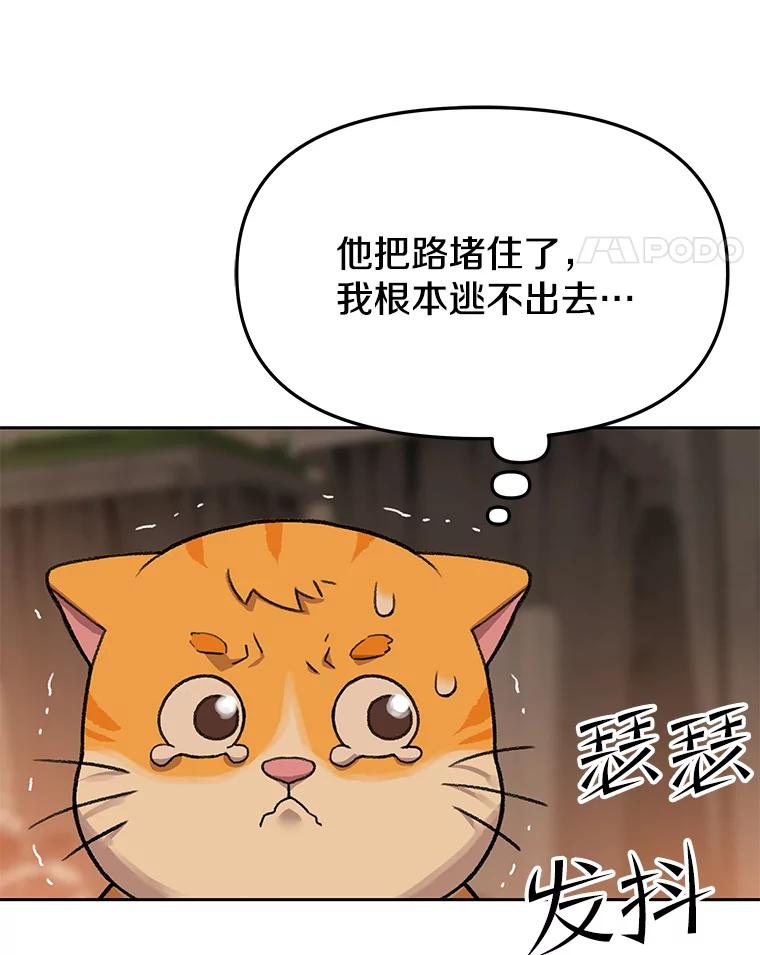 《彩虹桥守望者》52.伤猫者（2） 第27页