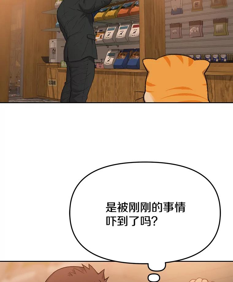 《彩虹桥守望者》52.伤猫者（2） 第56页