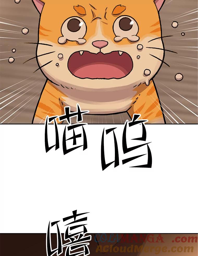《彩虹桥守望者》52.伤猫者（2） 第31页