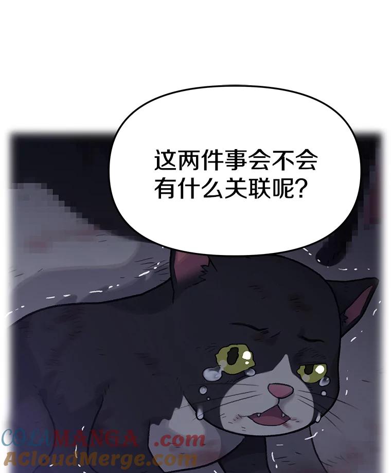 《彩虹桥守望者》52.伤猫者（2） 第49页