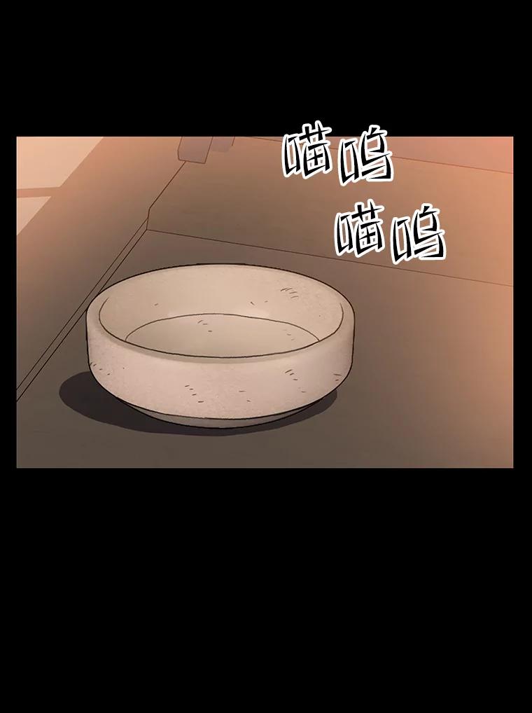 《彩虹桥守望者》53.伤猫者（3） 第29页