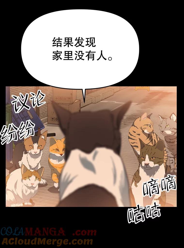 《彩虹桥守望者》53.伤猫者（3） 第34页