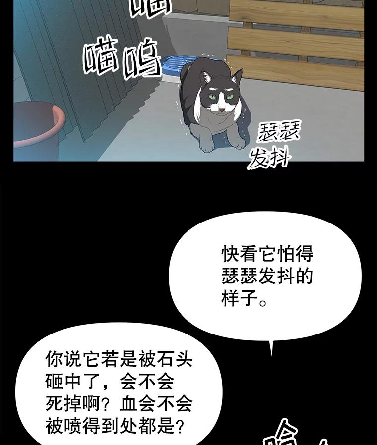 《彩虹桥守望者》53.伤猫者（3） 第17页