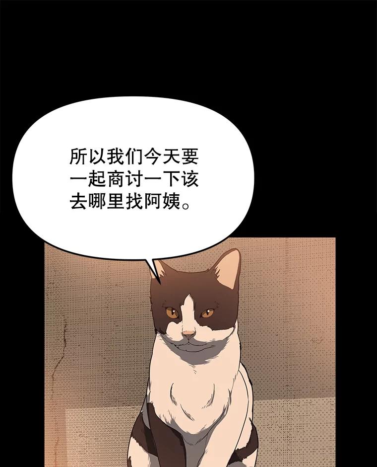 《彩虹桥守望者》53.伤猫者（3） 第35页