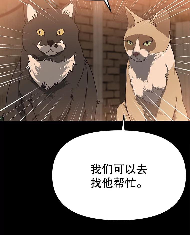 《彩虹桥守望者》53.伤猫者（3） 第39页