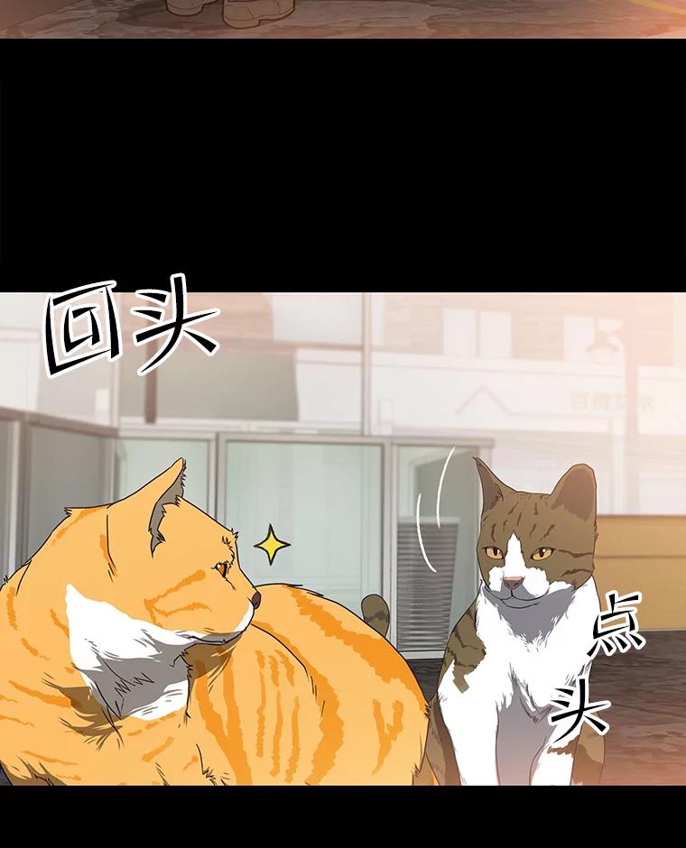 《彩虹桥守望者》53.伤猫者（3） 第48页