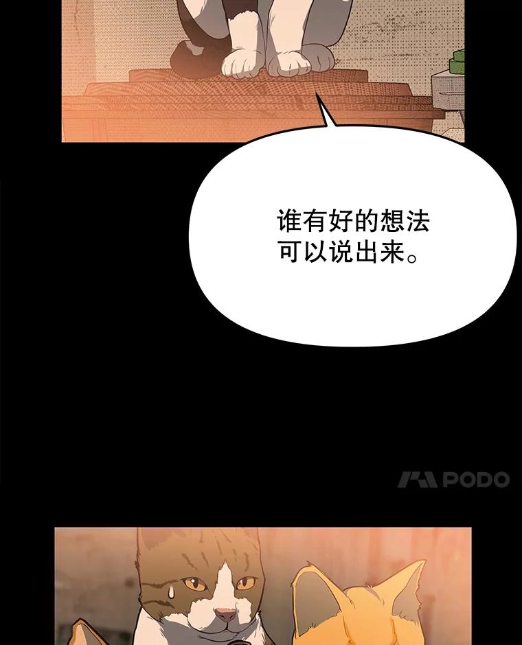 《彩虹桥守望者》53.伤猫者（3） 第36页