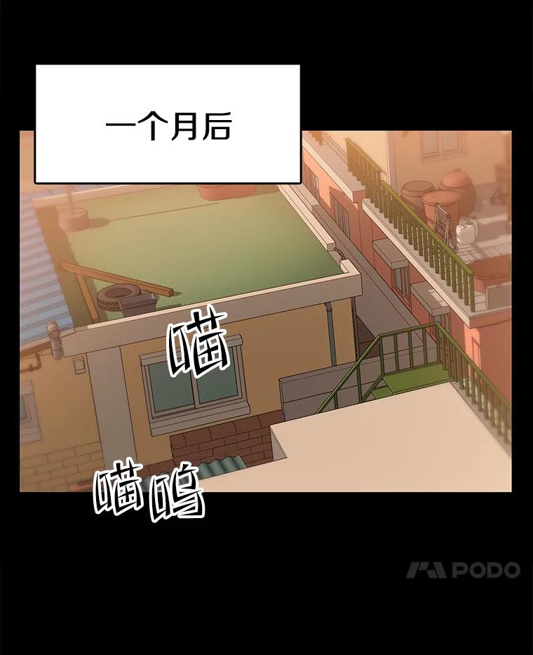 《彩虹桥守望者》53.伤猫者（3） 第26页