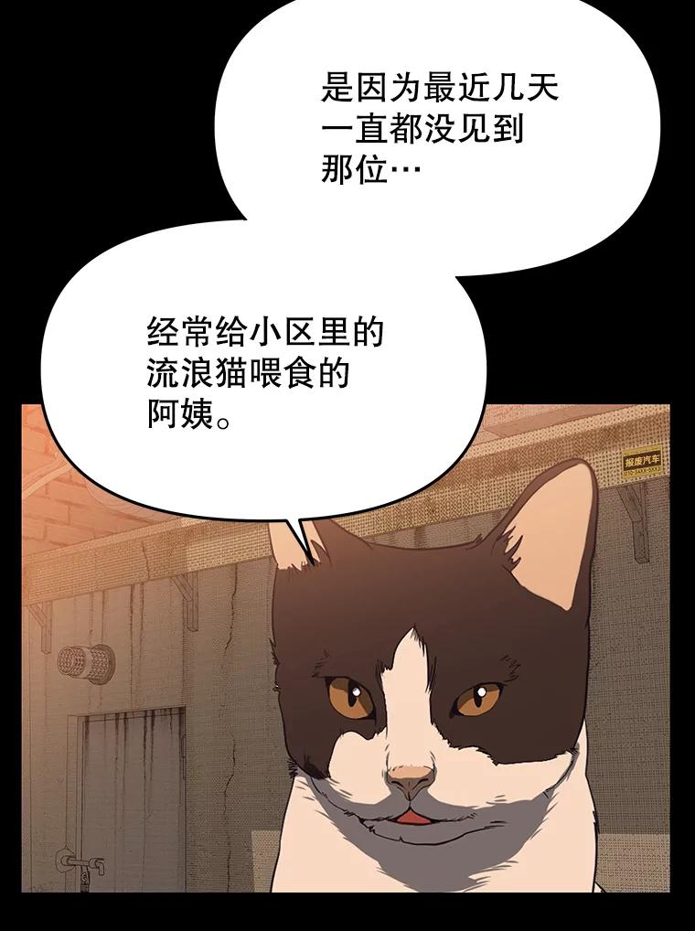 《彩虹桥守望者》53.伤猫者（3） 第32页