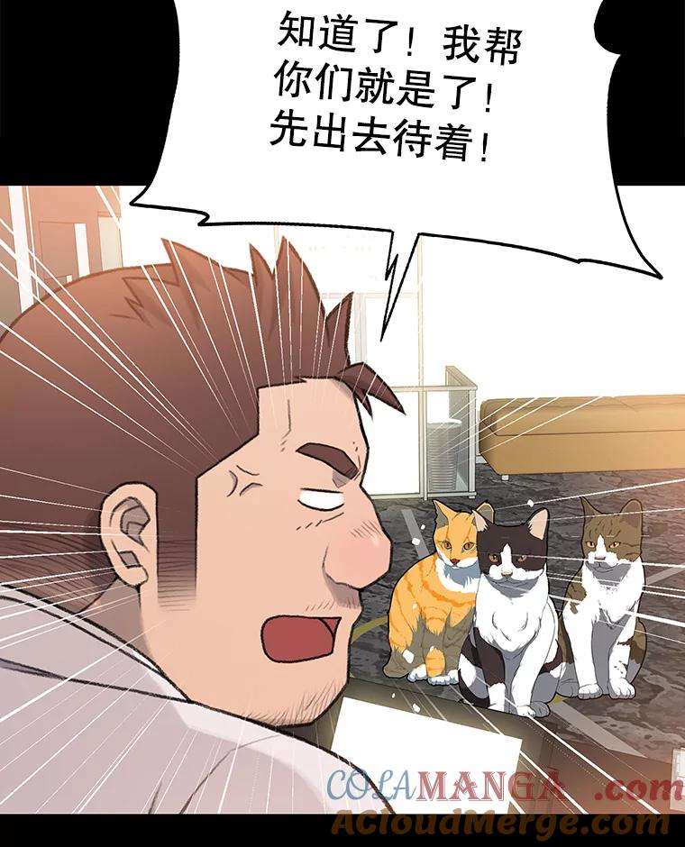 《彩虹桥守望者》53.伤猫者（3） 第46页