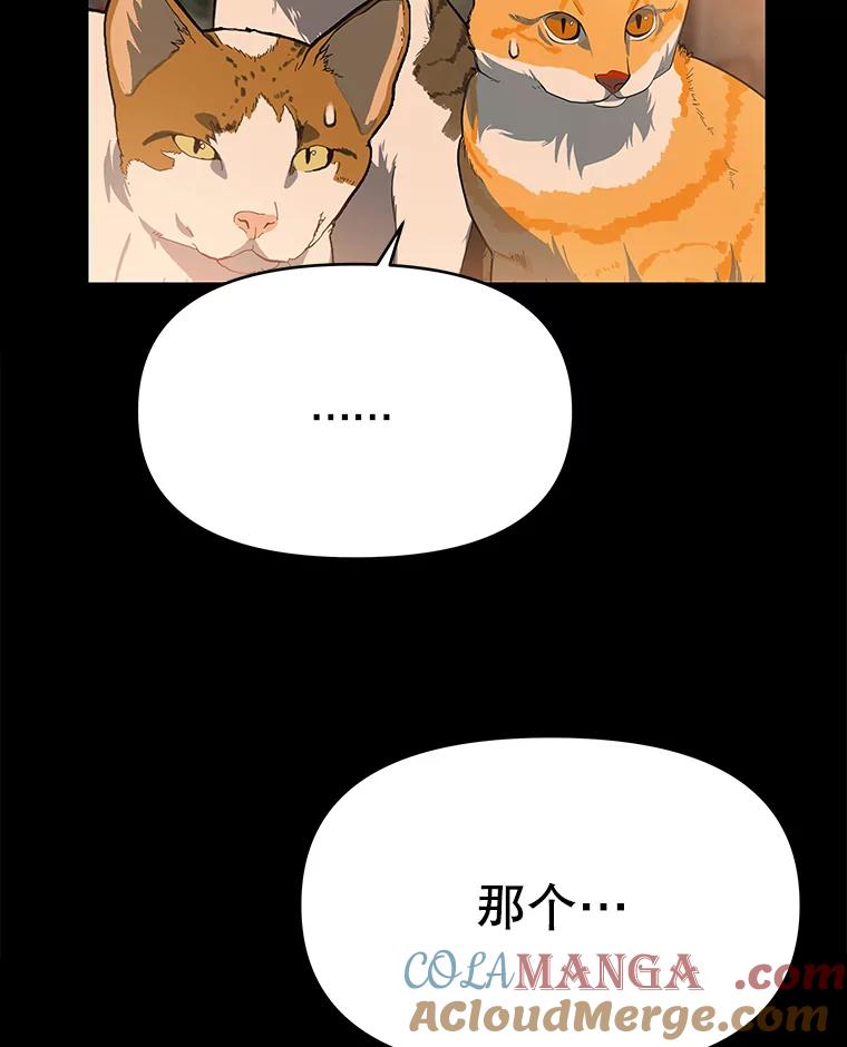 《彩虹桥守望者》53.伤猫者（3） 第37页