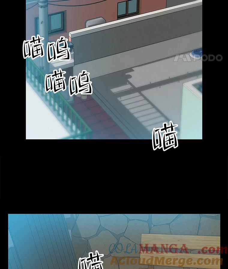 《彩虹桥守望者》53.伤猫者（3） 第16页