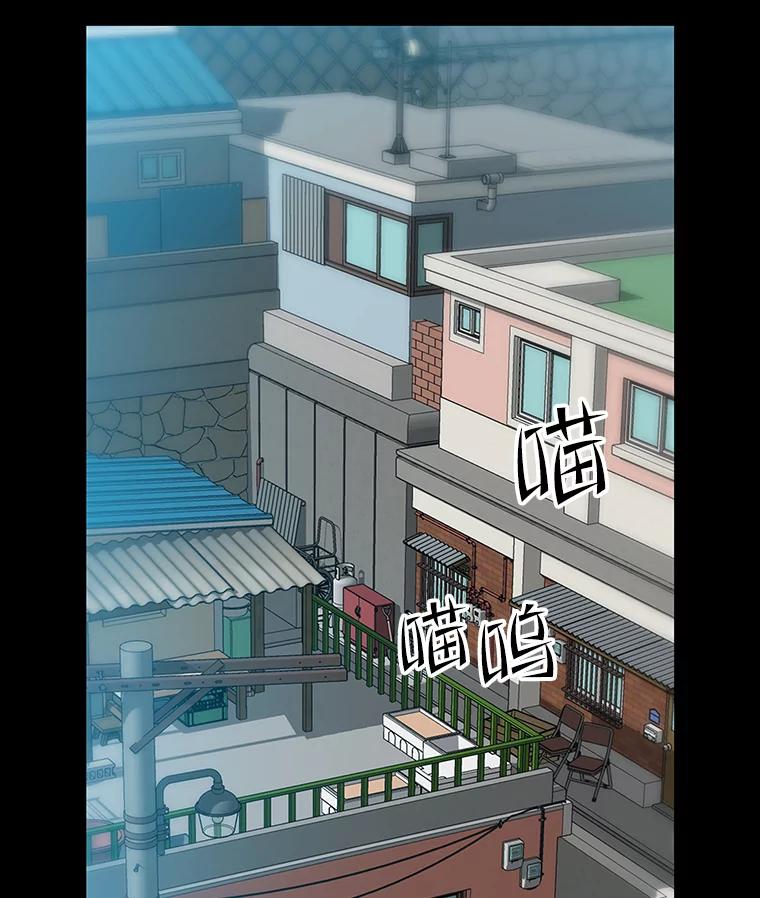 《彩虹桥守望者》53.伤猫者（3） 第15页