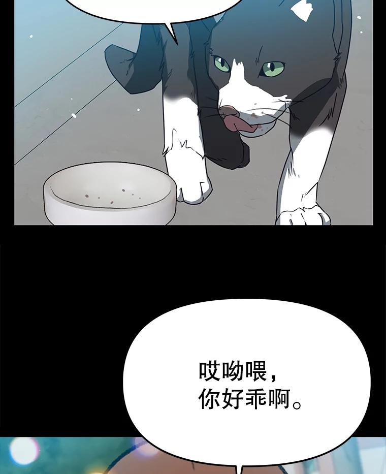 《彩虹桥守望者》53.伤猫者（3） 第24页