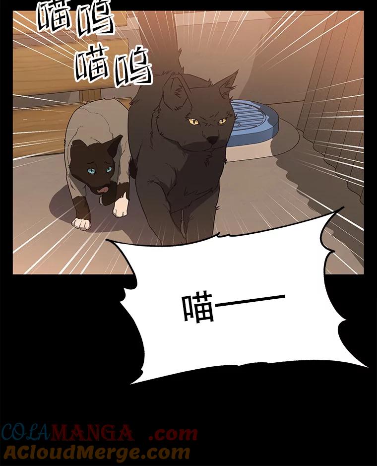 《彩虹桥守望者》53.伤猫者（3） 第28页