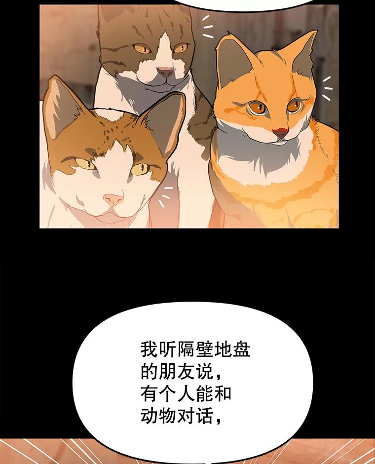 《彩虹桥守望者》53.伤猫者（3） 第38页