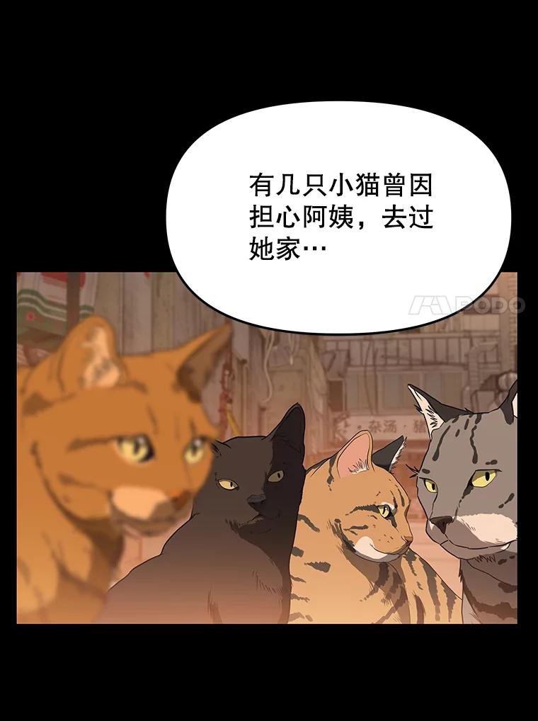 《彩虹桥守望者》53.伤猫者（3） 第33页