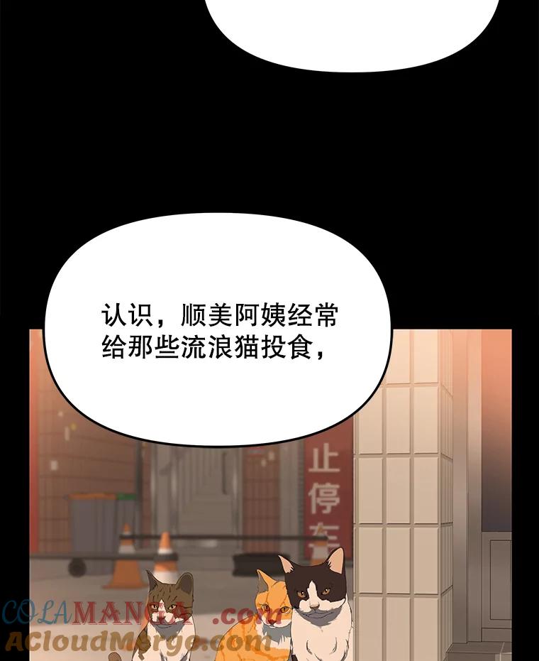 《彩虹桥守望者》53.伤猫者（3） 第58页
