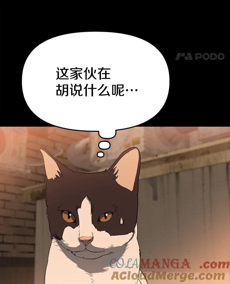 《彩虹桥守望者》53.伤猫者（3） 第40页