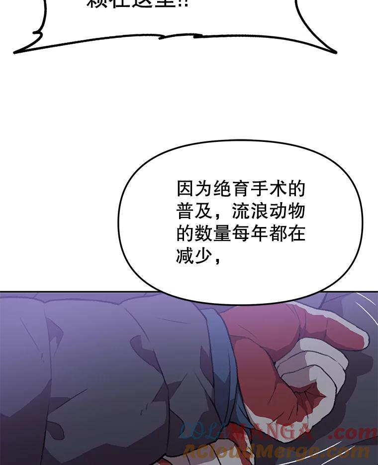 《彩虹桥守望者》54.伤猫者（4） 第31页