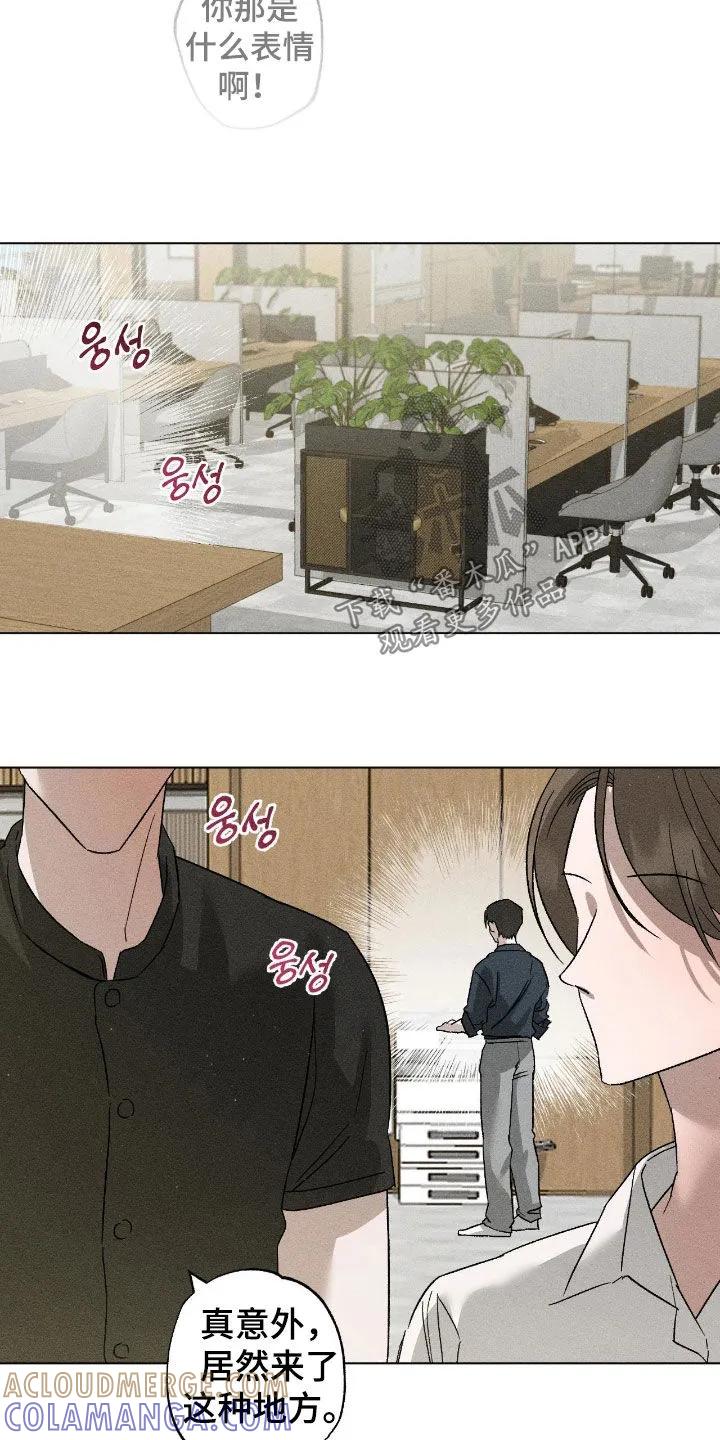 《特写爱意》第61章：【第二季】理想型 第15页