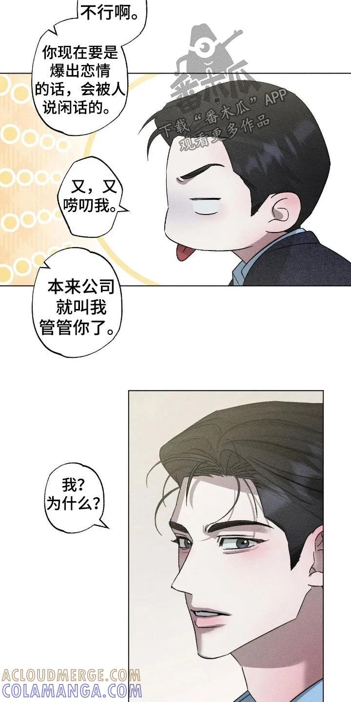 《特写爱意》第61章：【第二季】理想型 第11页