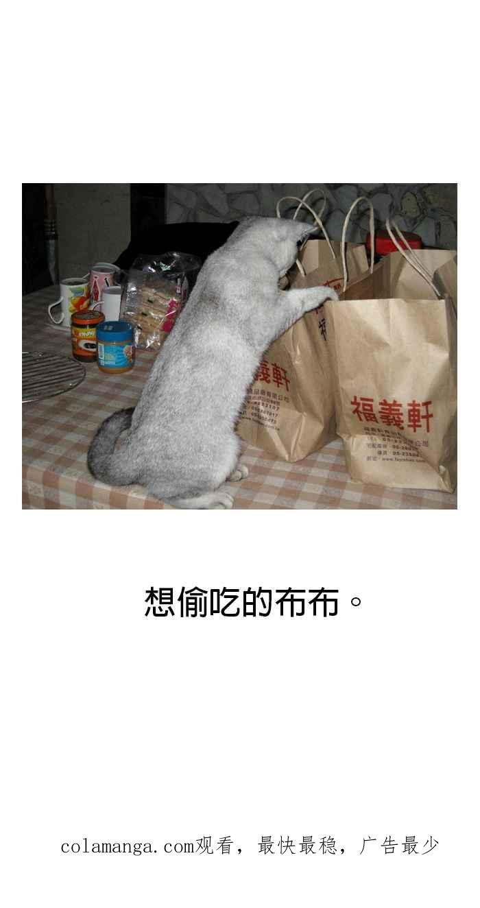 猫剑客 [第64话] 折翼天使 柒，误闯异界 第36页