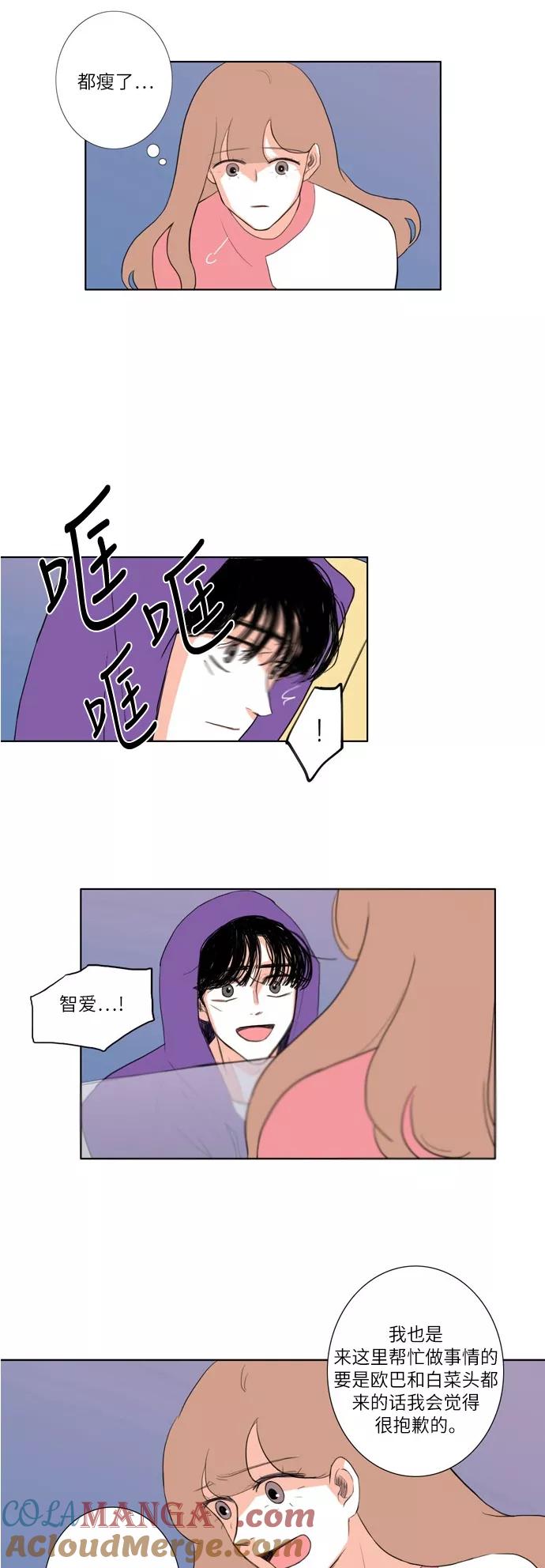 《完美蜜月行》第19话 第11页