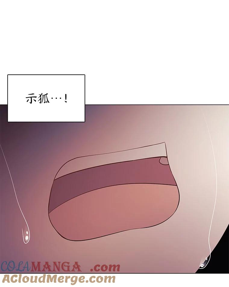 《魅惑狐狸》33.恍然大悟 第41页