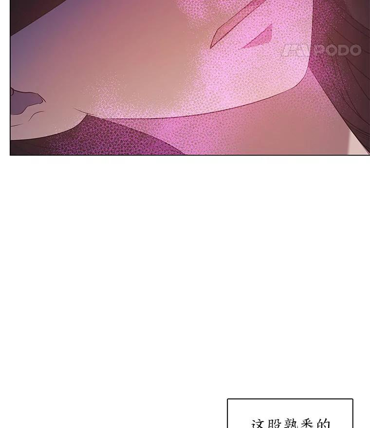 《魅惑狐狸》34.心中的人 第86页