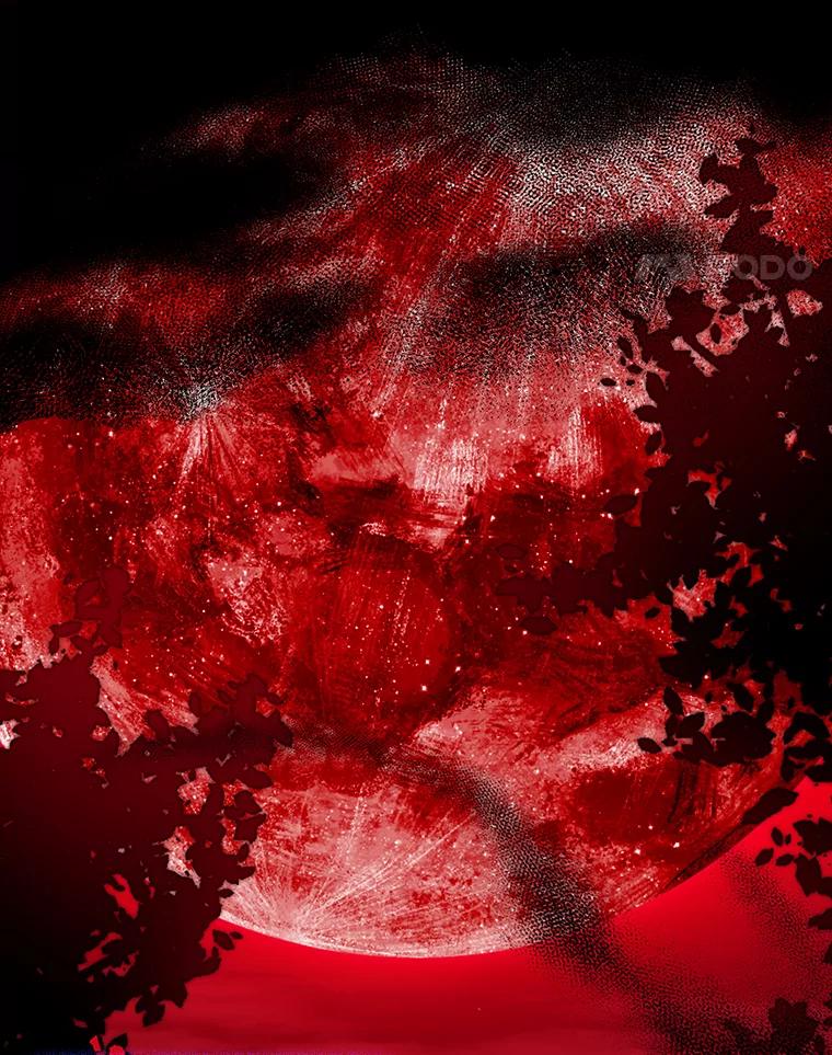 《魅惑狐狸》37.狐族过往 第22页