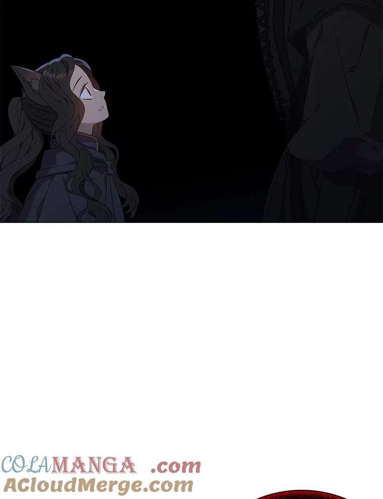 《魅惑狐狸》37.狐族过往 第113页