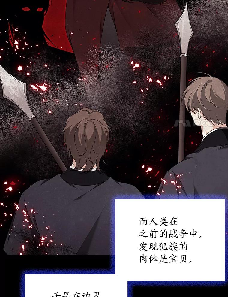 《魅惑狐狸》37.狐族过往 第39页