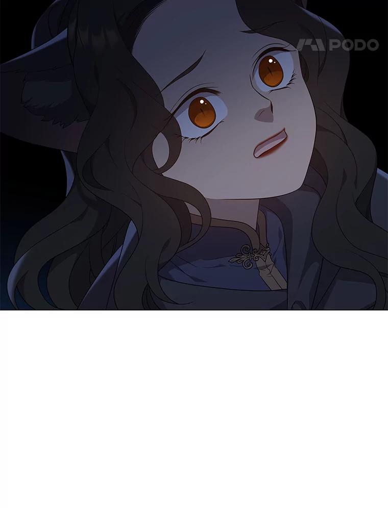 《魅惑狐狸》37.狐族过往 第116页