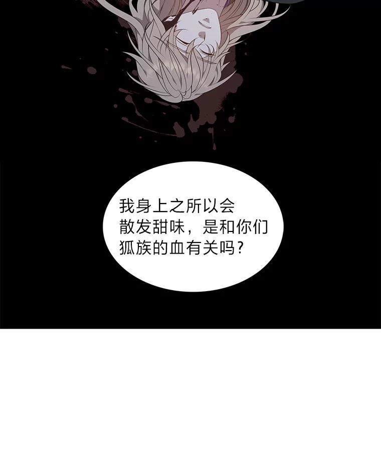 《魅惑狐狸》39.模糊的因果 第2页