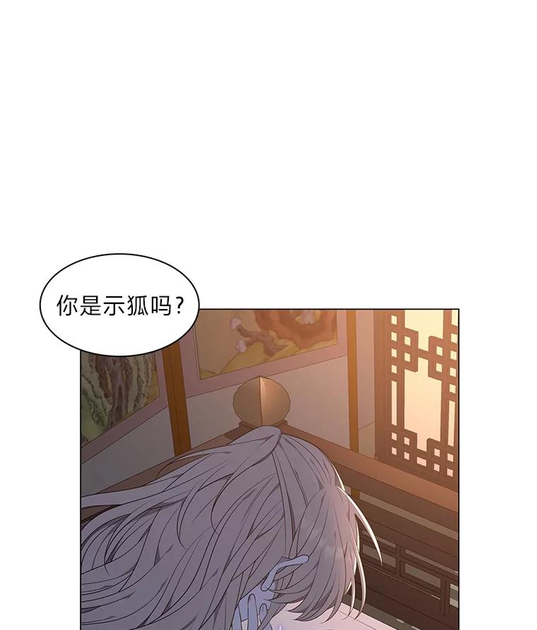 《魅惑狐狸》39.模糊的因果 第92页