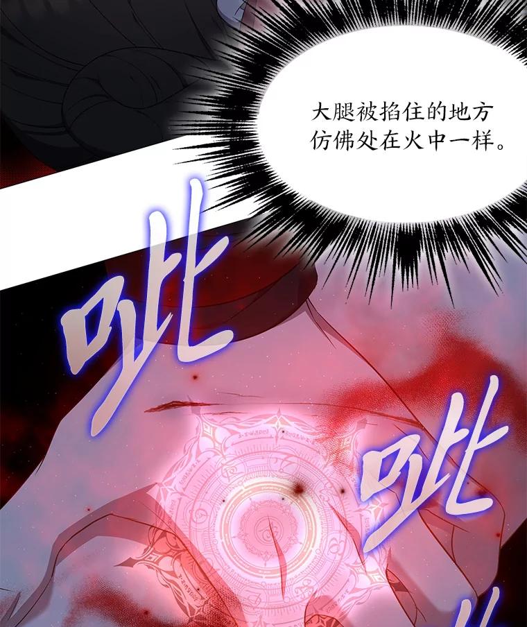 《魅惑狐狸》39.模糊的因果 第56页