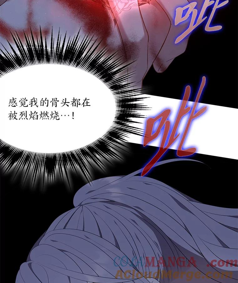 《魅惑狐狸》39.模糊的因果 第57页