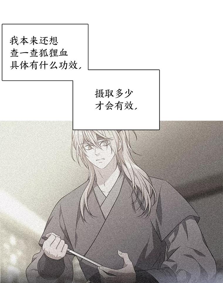 《魅惑狐狸》40.变身的真相 第39页