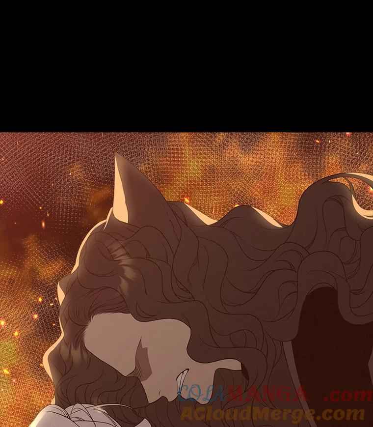 《魅惑狐狸》41.幸福如泡沫 第125页