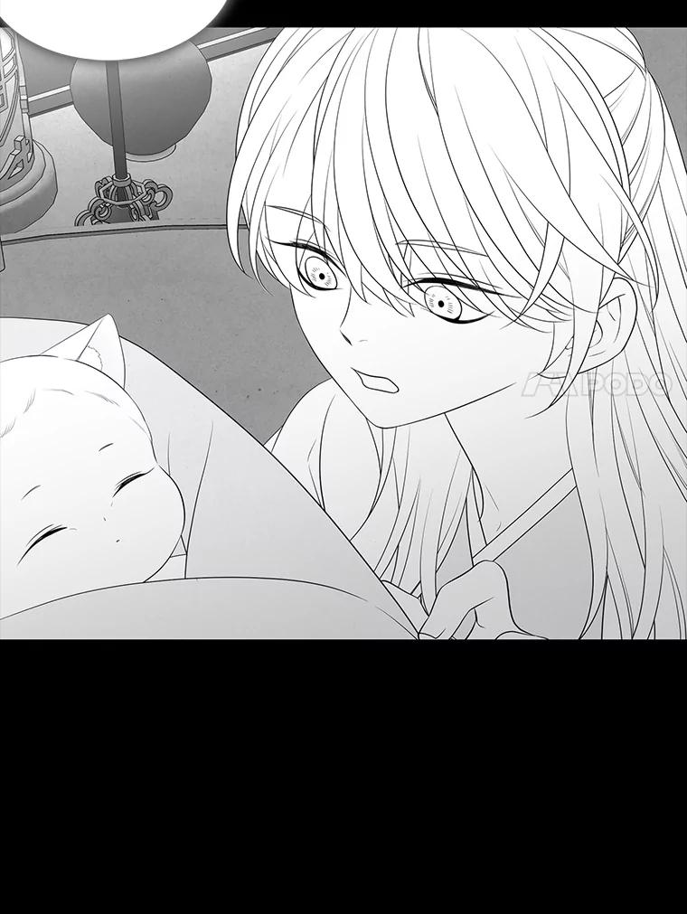 《魅惑狐狸》41.幸福如泡沫 第48页