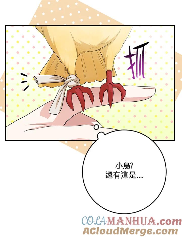 《完美演绎养女角色》第40话 第9页