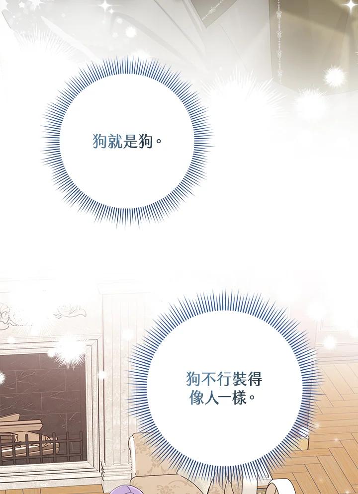 《完美演绎养女角色》第41话 第104页