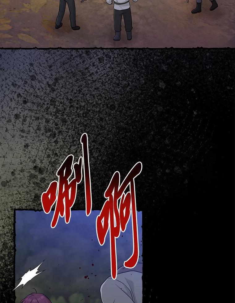 《完美演绎养女角色》69.薇欧拉的理由 第39页