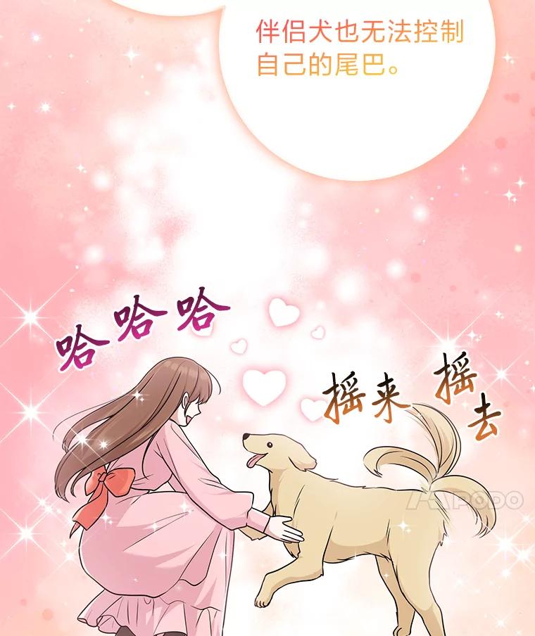 《完美演绎养女角色》75.在花田相遇 第75页